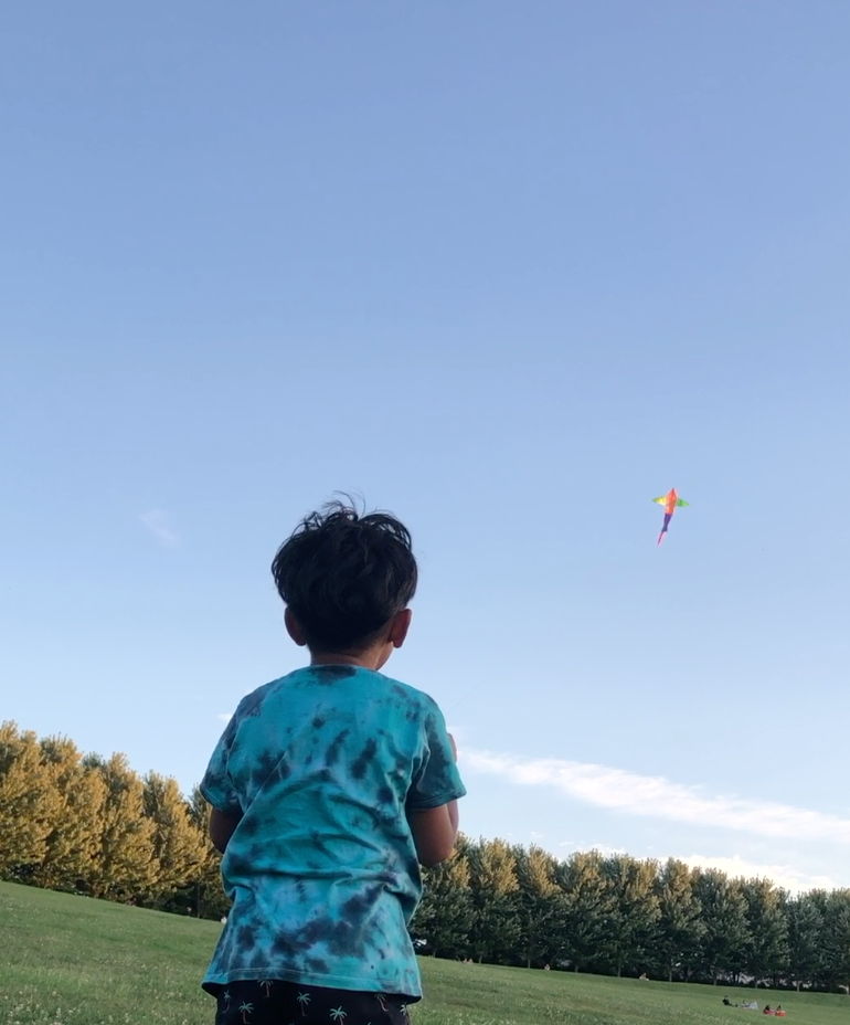 Kite flyer